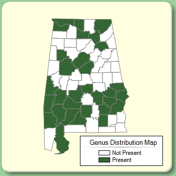 Genus Distribution Map