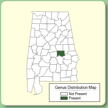 Genus Distribution Map