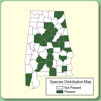 Species Distribution Map