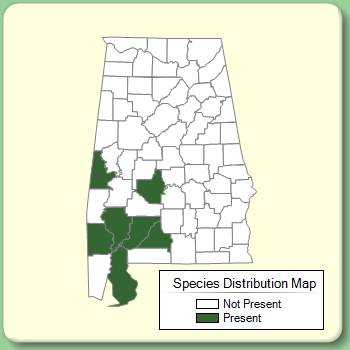 Species Distribution Map