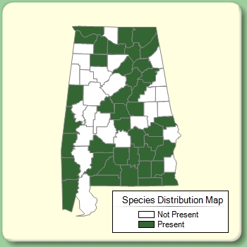 Species Distribution Map