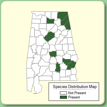 Species Distribution Map