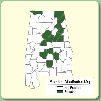 Species Distribution Map