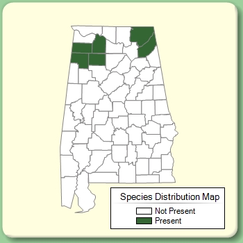 Species Distribution Map