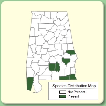 Species Distribution Map