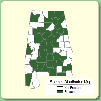 Species Distribution Map