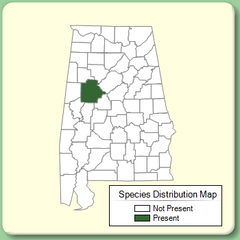 Species Distribution Map
