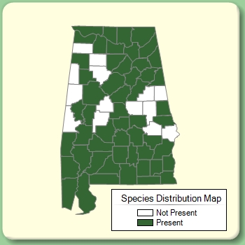 Species Distribution Map