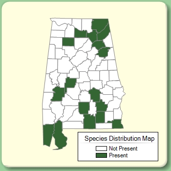 Species Distribution Map