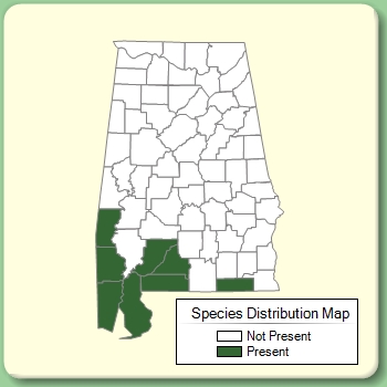 Species Distribution Map