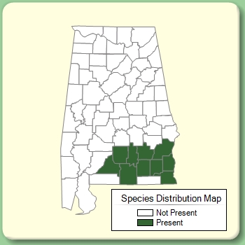 Species Distribution Map