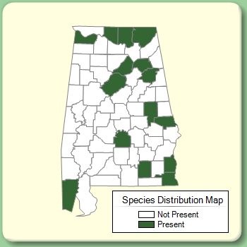 Species Distribution Map