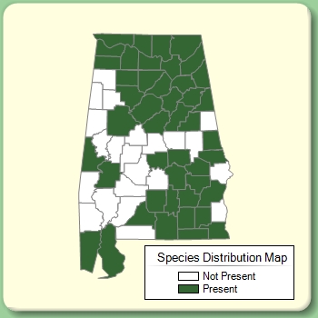 Species Distribution Map