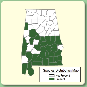 Species Distribution Map