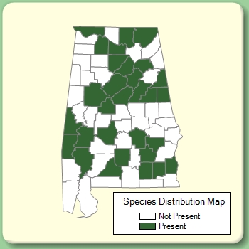 Species Distribution Map