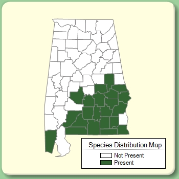 Species Distribution Map