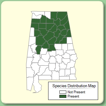 Species Distribution Map