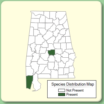 Species Distribution Map