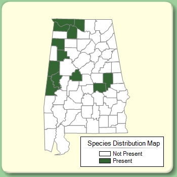 Species Distribution Map