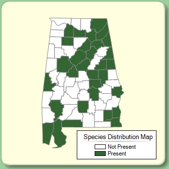 Species Distribution Map