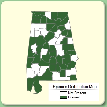 Species Distribution Map