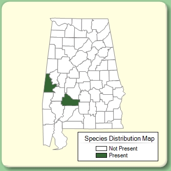 Species Distribution Map