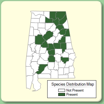 Species Distribution Map