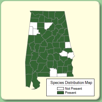 Species Distribution Map