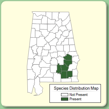 Species Distribution Map