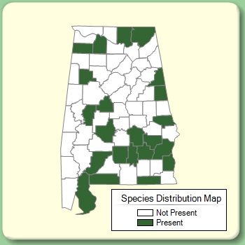 Species Distribution Map