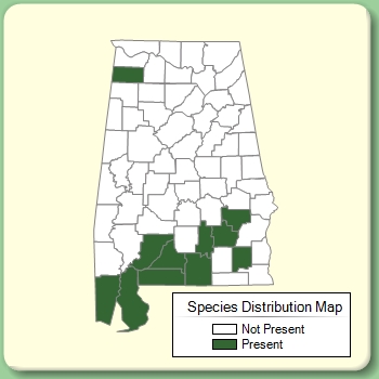 Species Distribution Map