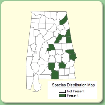 Species Distribution Map