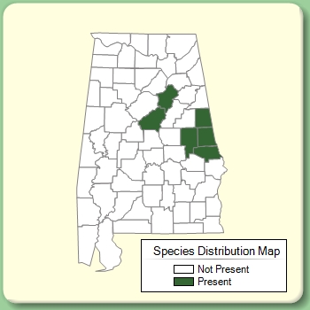 Species Distribution Map