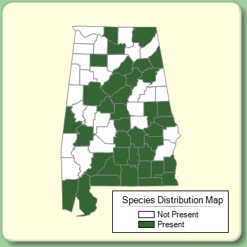 Species Distribution Map