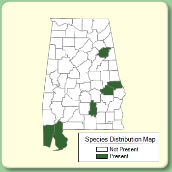 Species Distribution Map