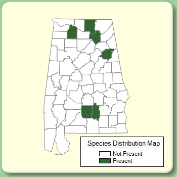 Species Distribution Map