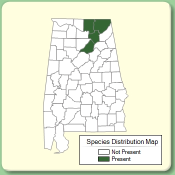 Species Distribution Map