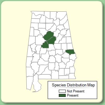 Species Distribution Map