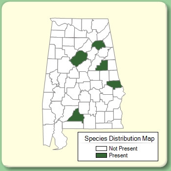 Species Distribution Map