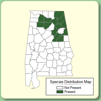 Species Distribution Map