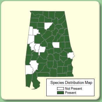 Species Distribution Map