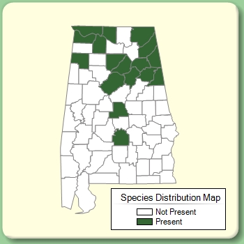 Species Distribution Map