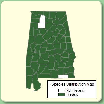 Species Distribution Map