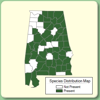 Species Distribution Map