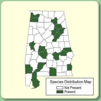 Species Distribution Map