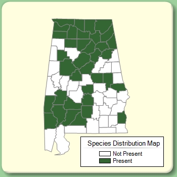 Species Distribution Map