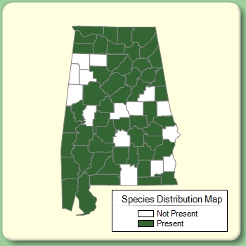 Species Distribution Map