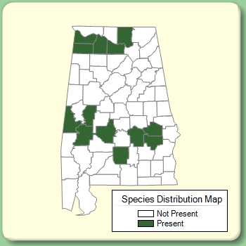 Species Distribution Map