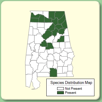 Species Distribution Map