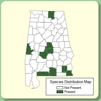 Species Distribution Map